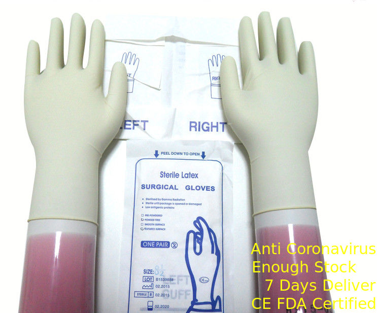 Sarung Tangan Bedah Steril Lateks Warna Putih Alami Sekali Pakai Dengan Rolled Rim pemasok